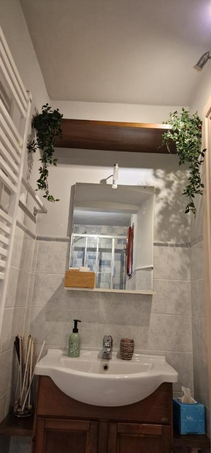 Monica Appartamento Con Giardino Al Ponte Vecchio Флоренция Екстериор снимка